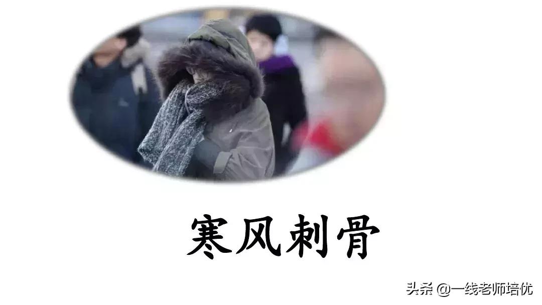 二年级上册语文园地七展示台教学,二年级上册语文园地七的日积月累