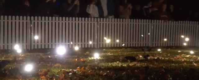 美得足以让人忘记时间流逝,美得让人静止的瞬间