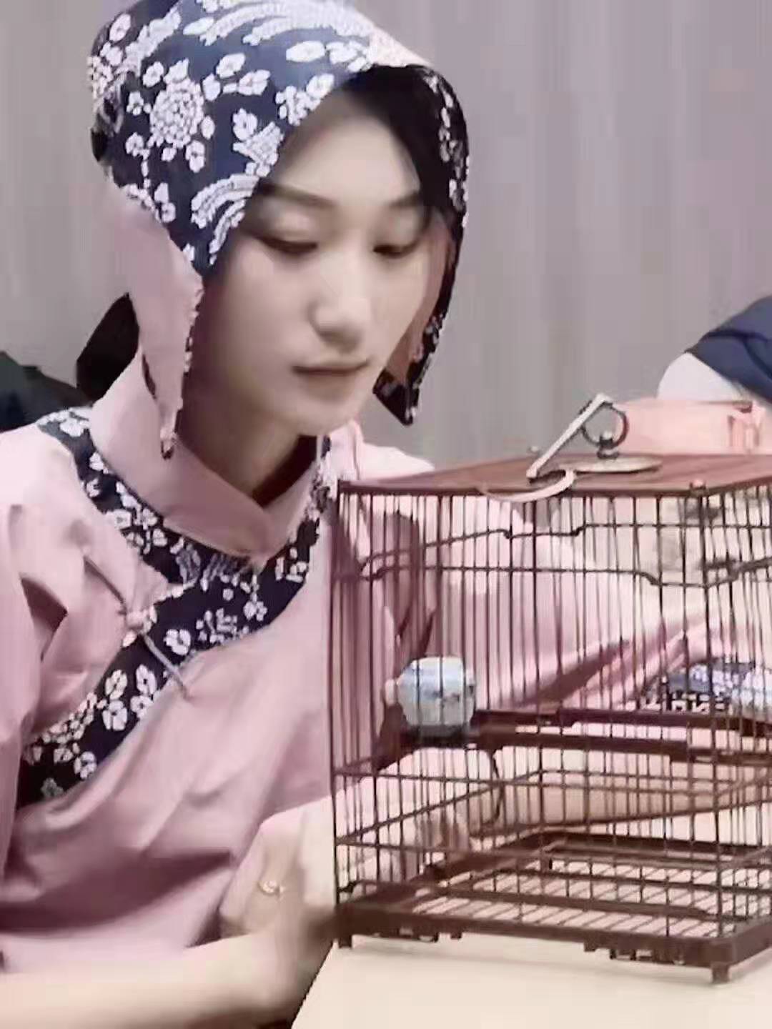 绣眼一直拉肚子,绣眼拉肚子能自愈吗