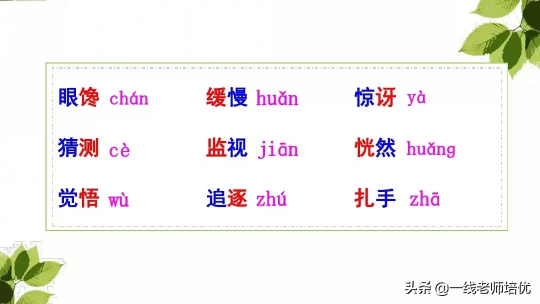 带刺的朋友三年级上册,三年级语文带刺的朋友课文知识点