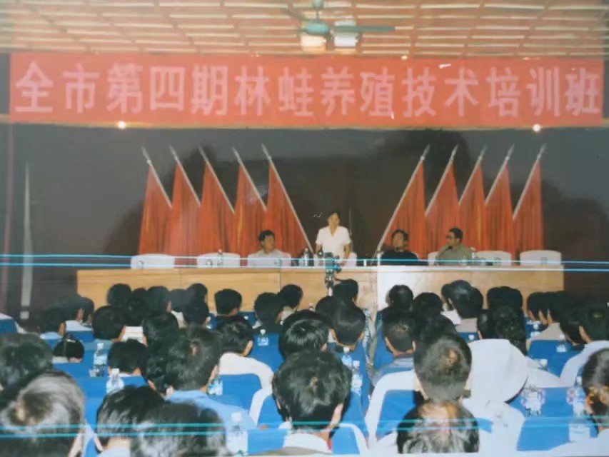 80年代伊春林区生活,七十年代伊春带岭林区