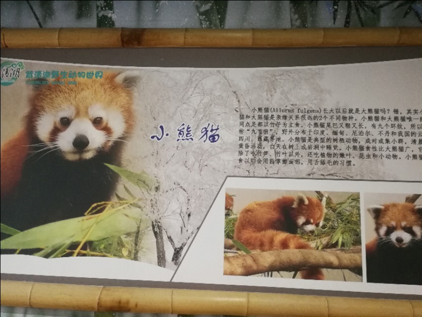 南京江宁区紫清湖温泉度假酒店,南京江宁紫清湖温泉度假村