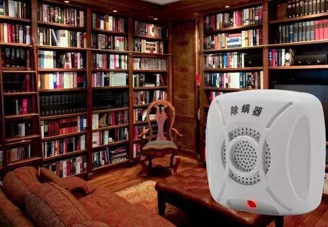 床上有螨虫放什么东西能除螨,床上螨虫和细菌最怕什么