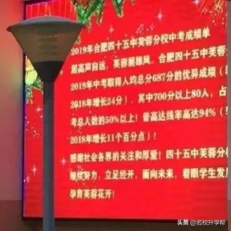 2020合肥38中北校区中考成绩如何,合肥50中天鹅湖校区中考成绩2021