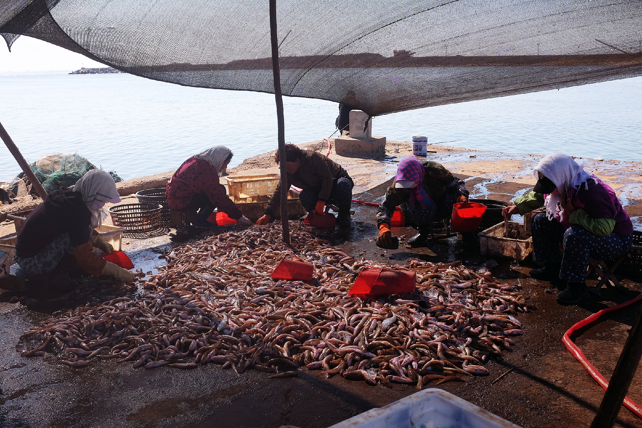 到了北戴河之后怎么去海滨浴场,北戴河怪楼奇园景区今天可以玩吗
