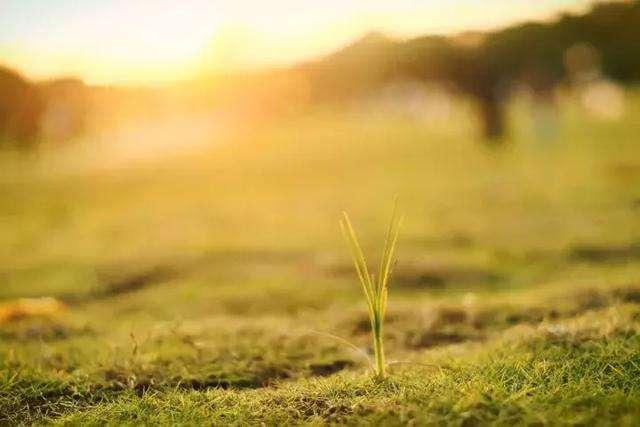 长线大牛股票从哪里来？上市公司成长性分析的方方面面