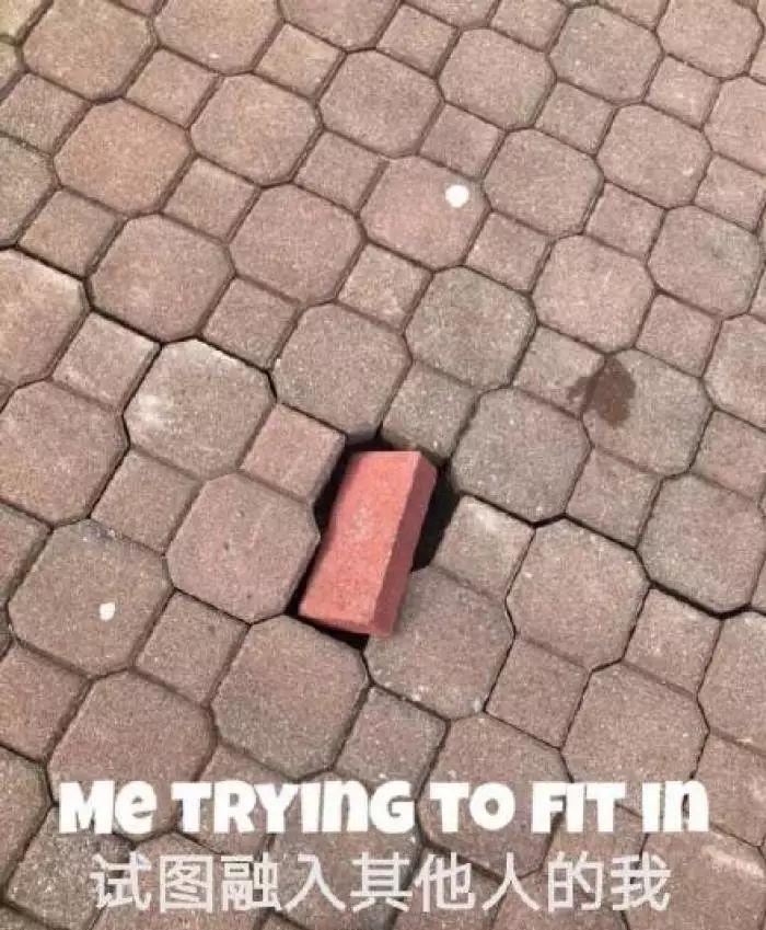 95后老师和80后家长聊天记录,95后女教师与70后家长尬聊