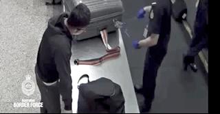澳洲带烟入境被罚经历,顶风作案偷渡