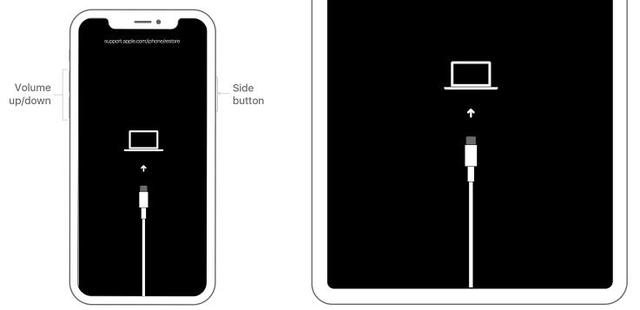 苹果8停用了怎么解除,苹果被停用怎么解除
