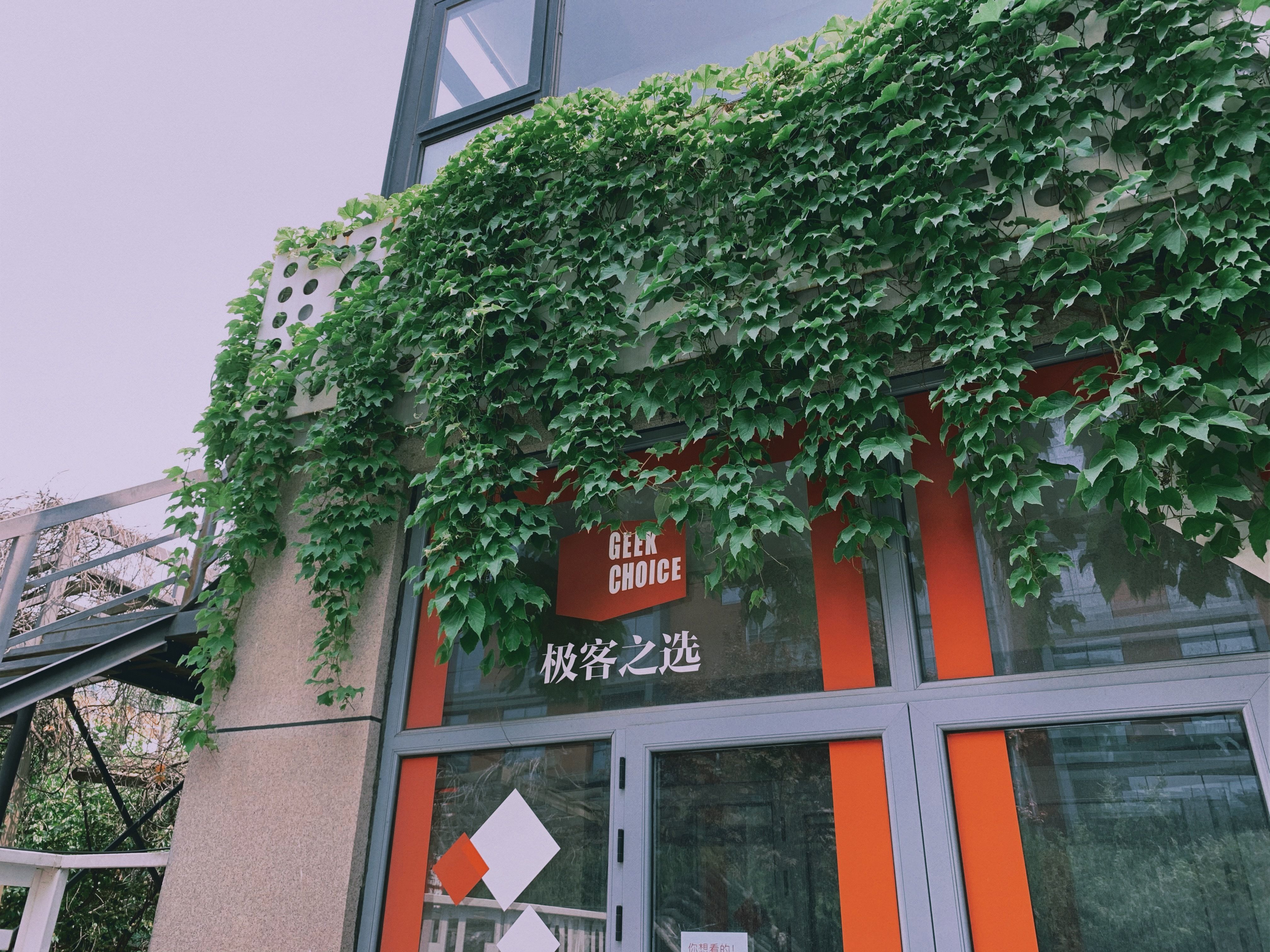 五一游玩哪个app拍照好看,旅游用哪一款app照相好