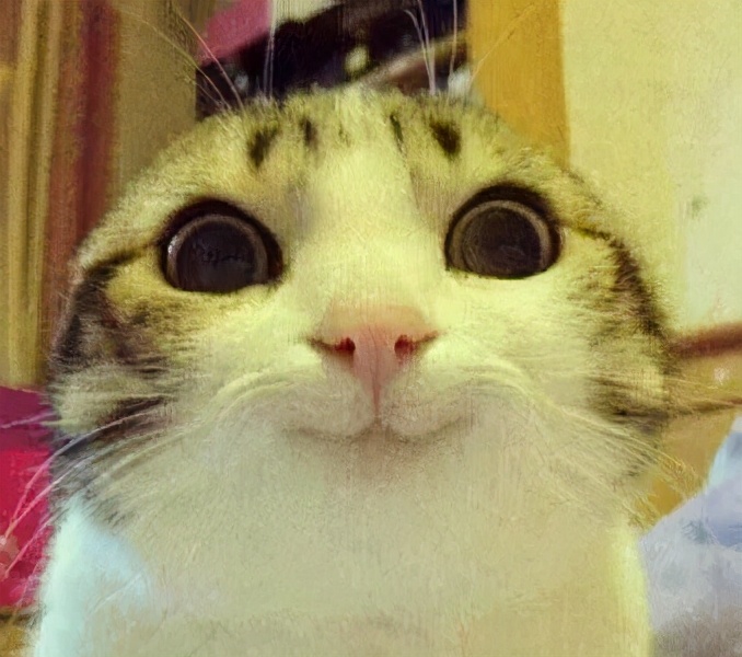 南方人眼里的东三省,南方人眼里的澡堂