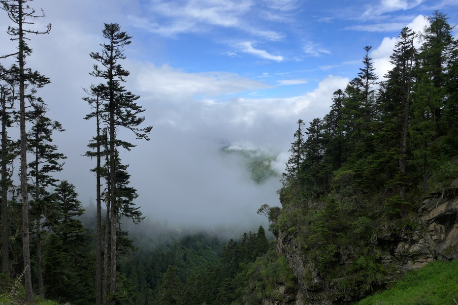 想去西藏自驾又恐惧高反怎么办,想去高原又怕高反怎么办