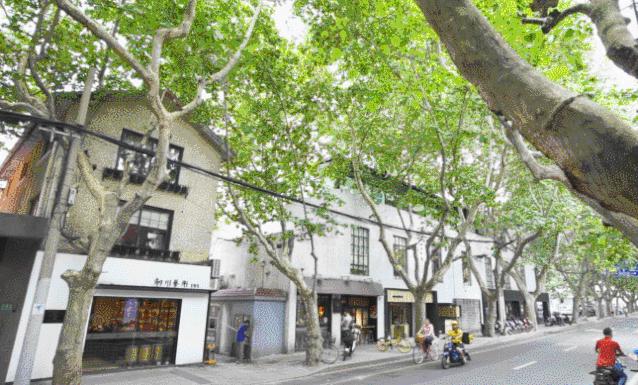 沉浸式体验顶级豪宅,200平豪宅轻奢生活沉浸式体验