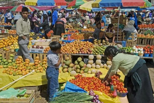 拼多多给的都是正品吗,拼多多究竟是不是真的