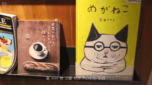 ins上有名的韩国独居博主,38岁独居全职博主