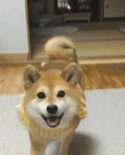 澶у瀷鎾掑▏鐜板満,澶у瀷鍗栬悓鐜板満