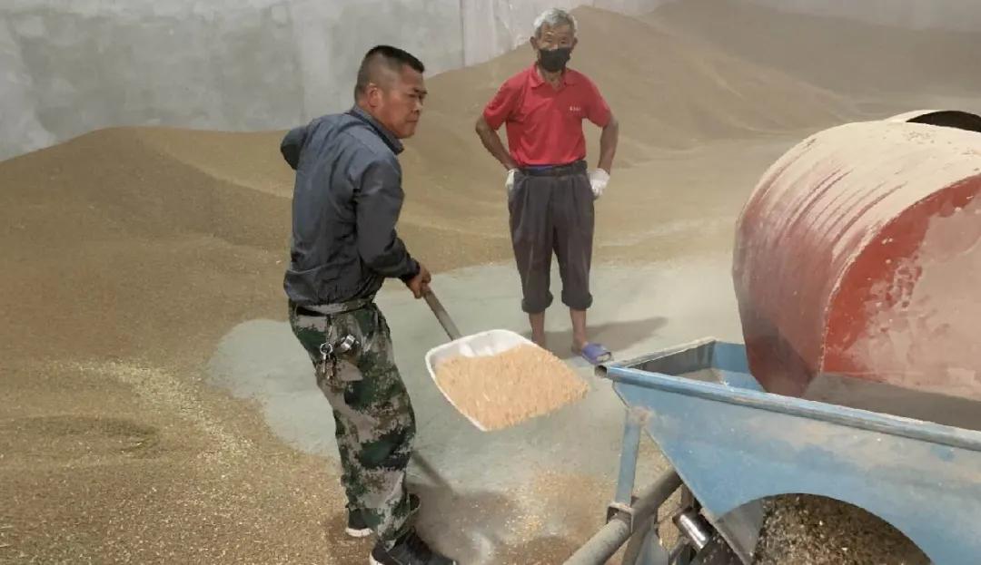 「劳模风采」描绘美丽乡村新画卷—记扬州市劳动模范、江都区真武镇真武村*党**总支部书记戴尔庆