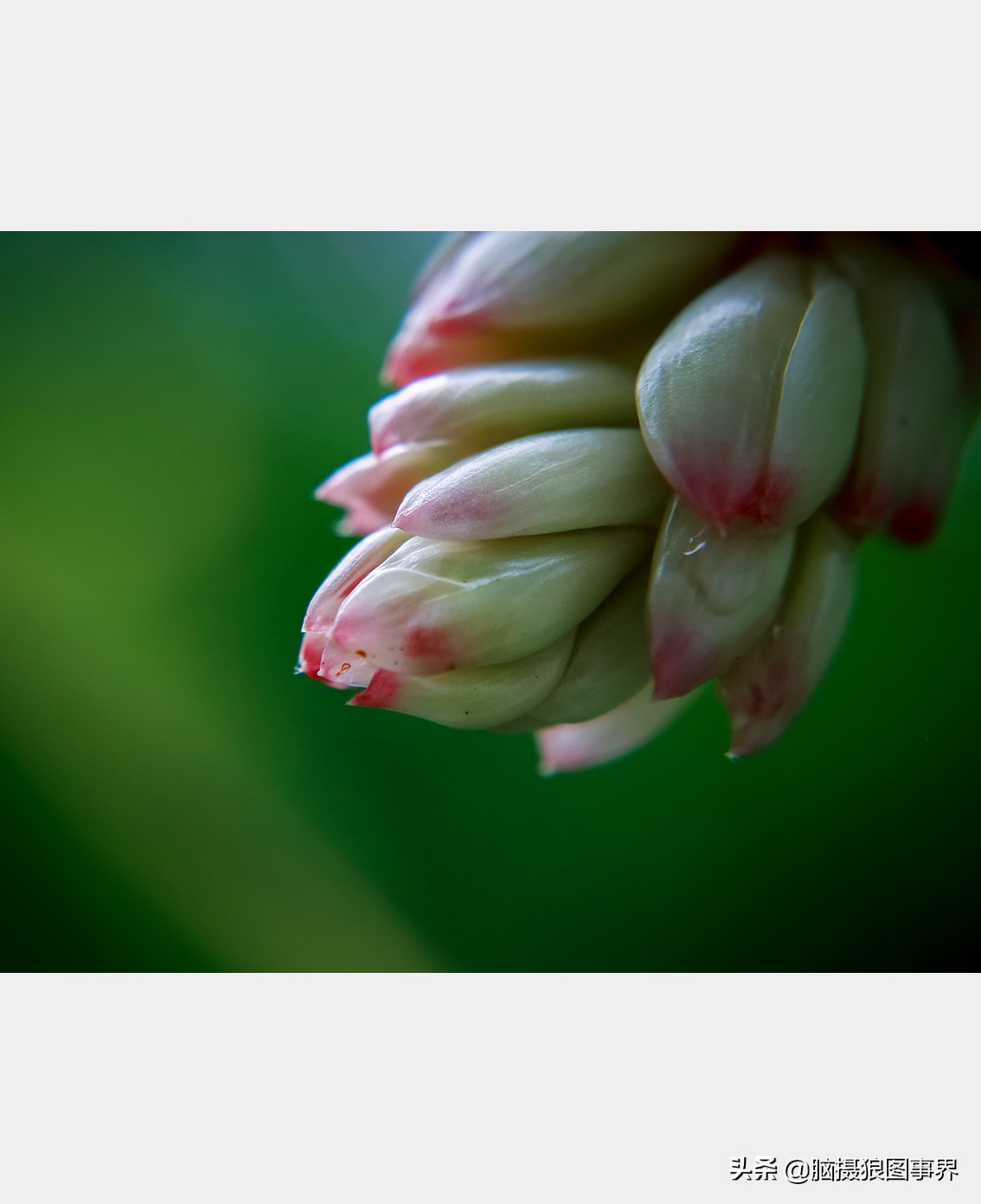 佳能rf24105f4和ef24105f4二代,佳能24105银圈镜头虚化效果