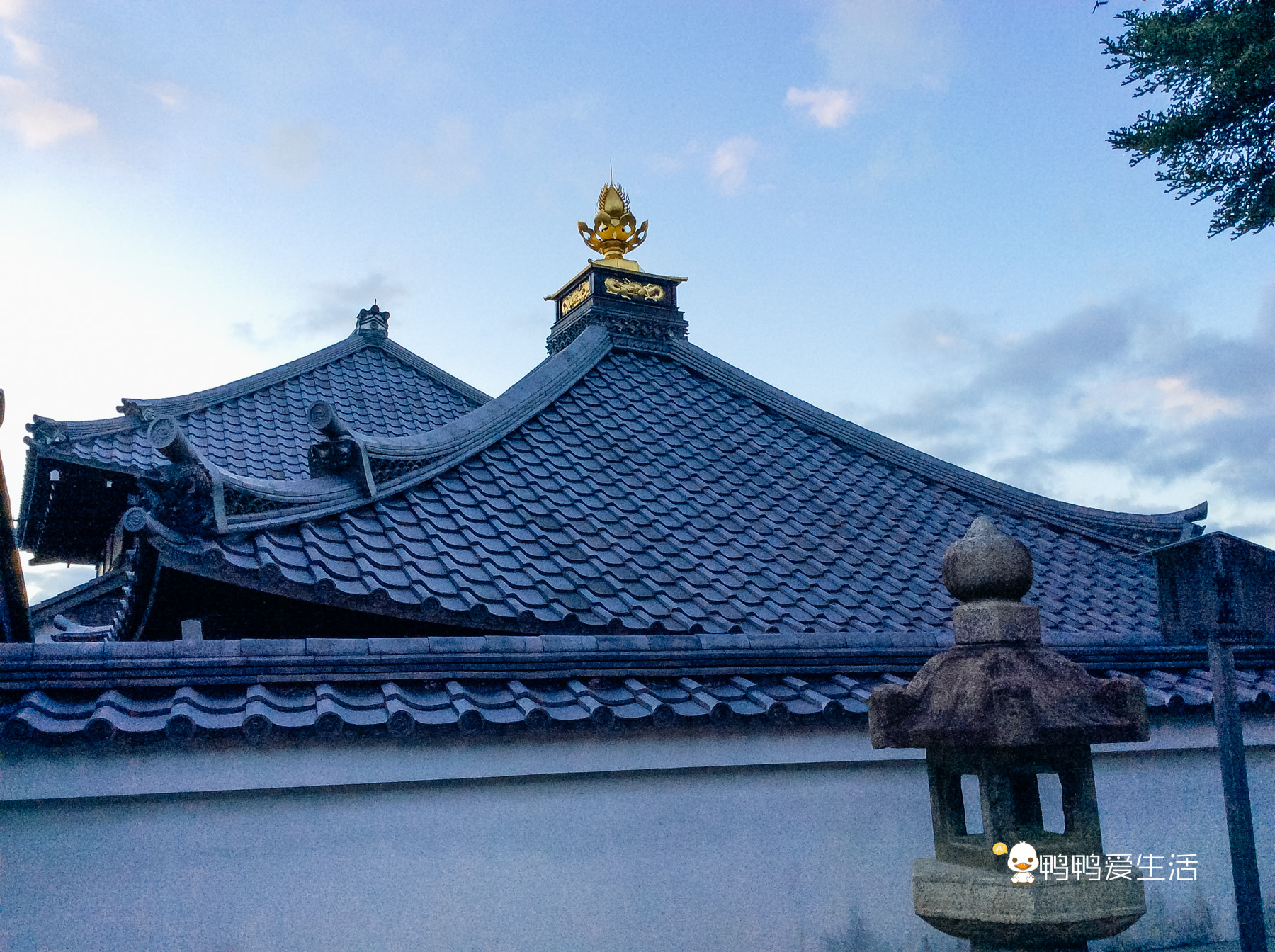 日本京都寺庙视频,日本京都闹市区古老寺庙