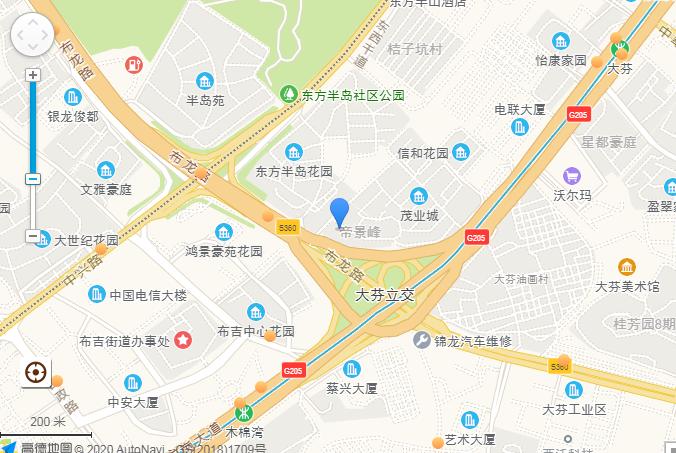 法拍分享：深圳市龙岗区布吉镇大芬村茂业城花园大厦2座16D