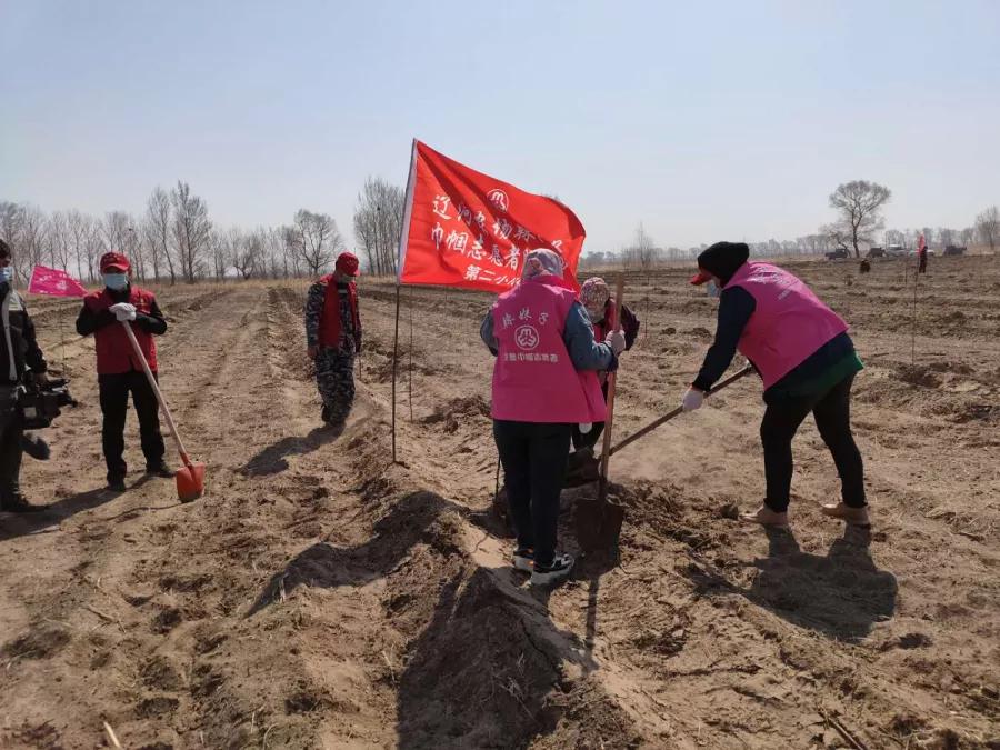 巾帼脱贫故事|小康路上的巾帼“牛状元”