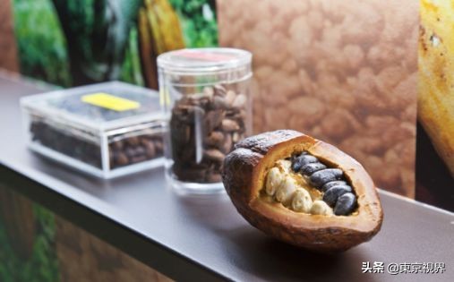 日本食品工厂参观,日本化妆品工厂参观