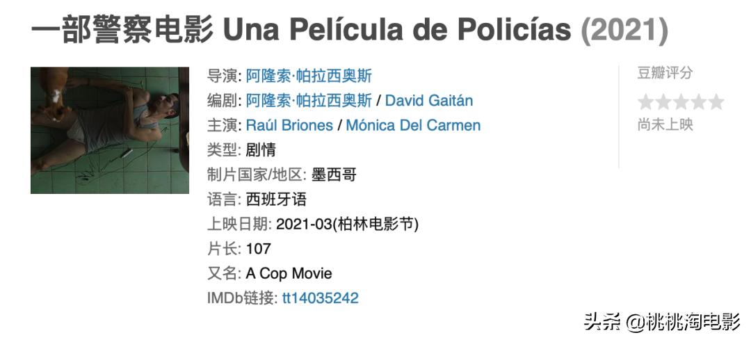 视频门、恋爱与出轨、法版李焕英……他们在柏林，都遭遇了什么？