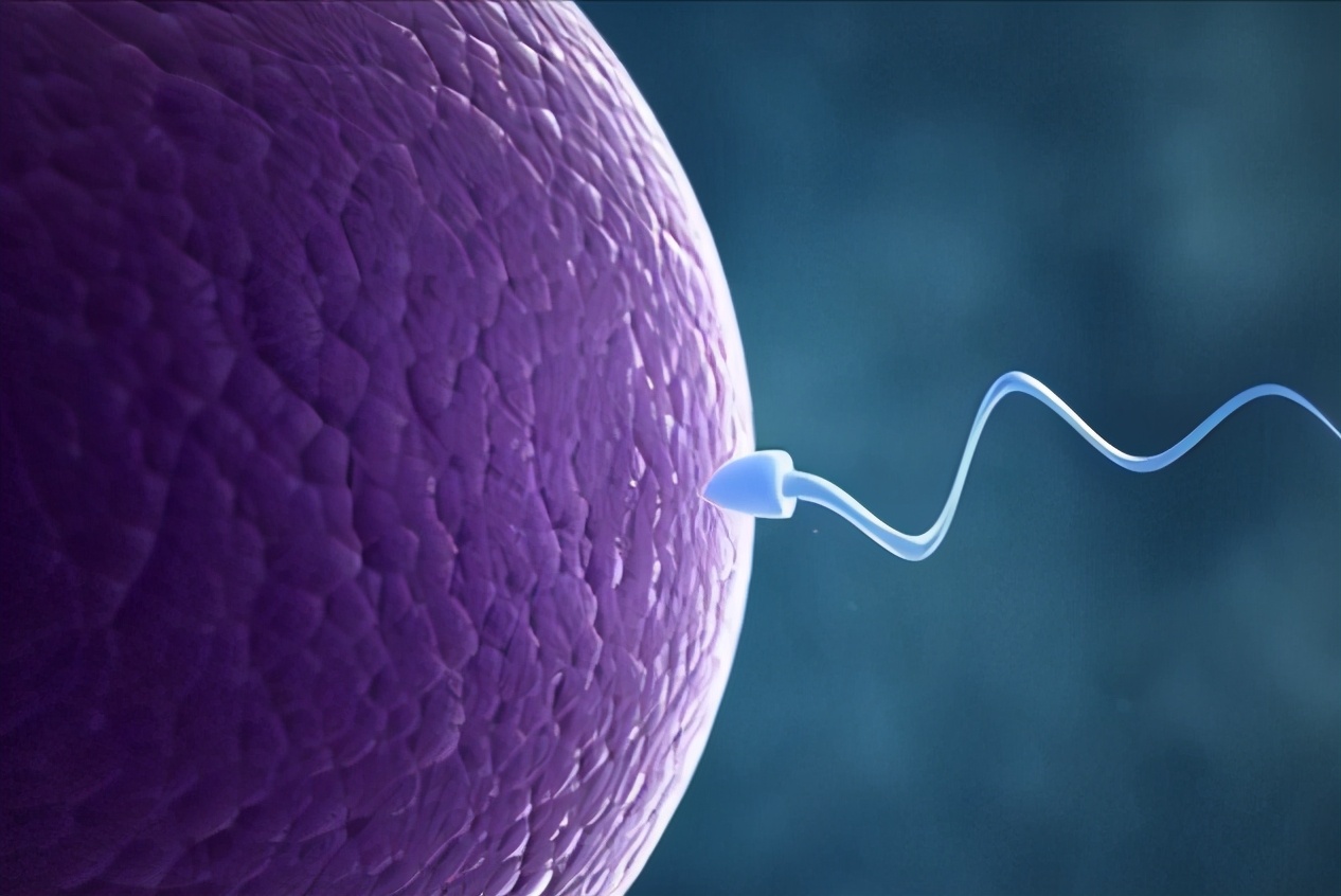 治疗男性精子活力低下的中成药,老公精子活力低下是不是很难怀孕