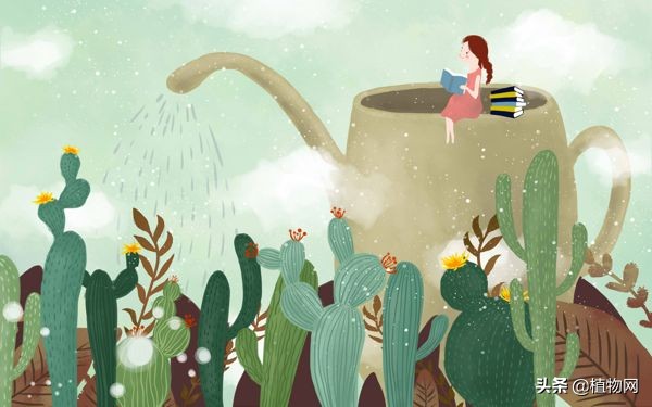 假期出门好几天怎么给花浇水,出远门植物浇水小妙招