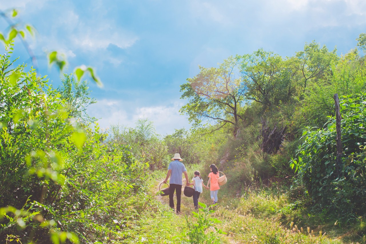山野自然酷虫酷玩,玉米娃娃,一场自然与艺术融合的秋日盛宴