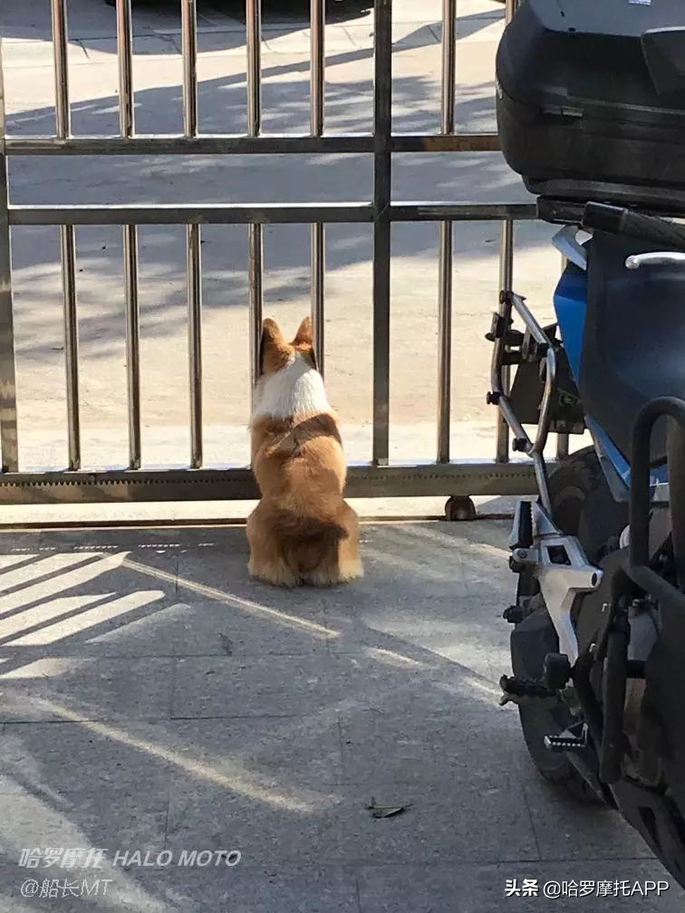 春风650gt骑行感受,骑行春风650nk