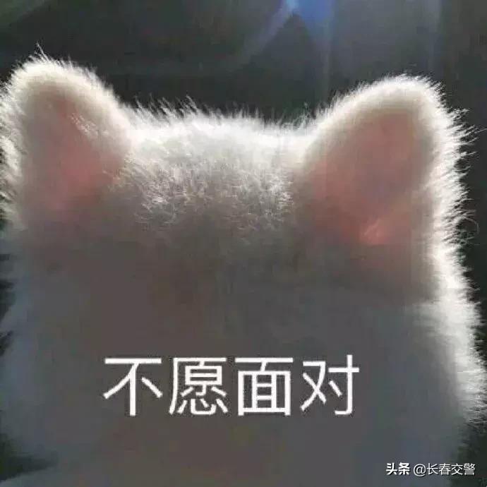 东北旅游降温了,冷冷冷抖音完整版