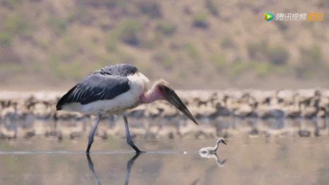 被吹爆的神片,被吹上天的神作