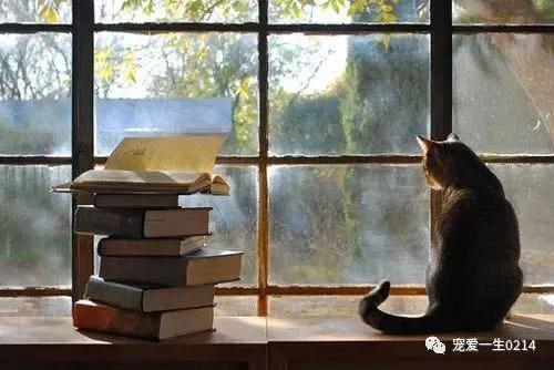 单人床单纯棉,单人床价格50到150元