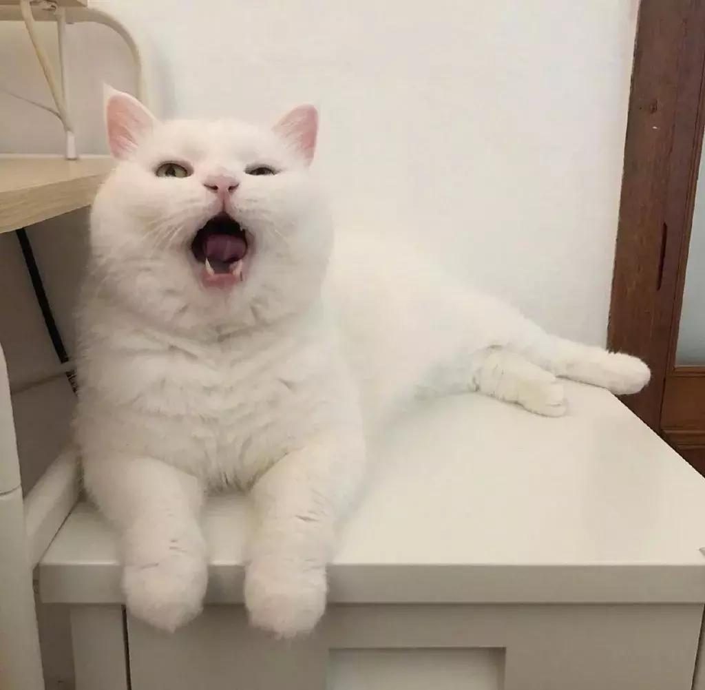 留学前辈给留学生的血泪建议,留学生的10个建议