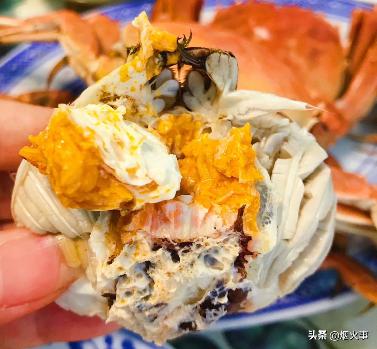 大闸蟹热水蒸还是冷水蒸多长时间,大闸蟹是用热水蒸还是冷水蒸