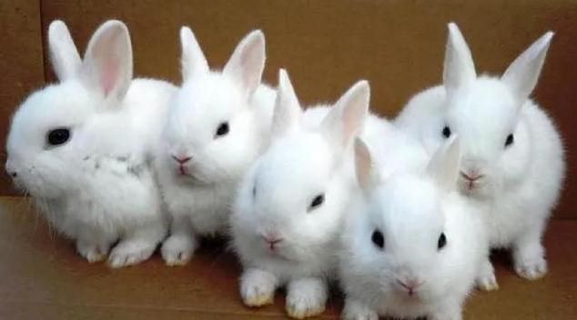 成为下一个马云，也许你需要的是小雨伞