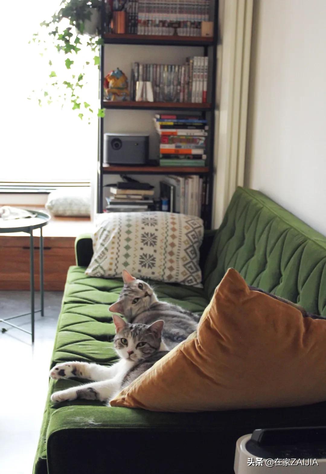 不服输的北漂打工人！徒手造家具，40m²改出两室一厅