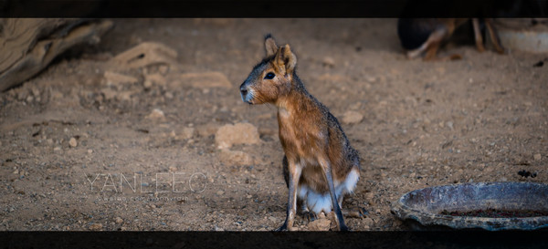最新玩转泰国攻略,泰国旅游漫游