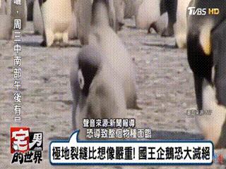 人类面临的生态困境包括哪,生态农业的可能性以及前景