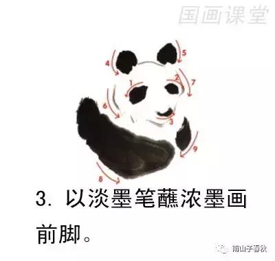 教你画大熊猫水彩画,黑色与白色的大熊猫怎么画才好看