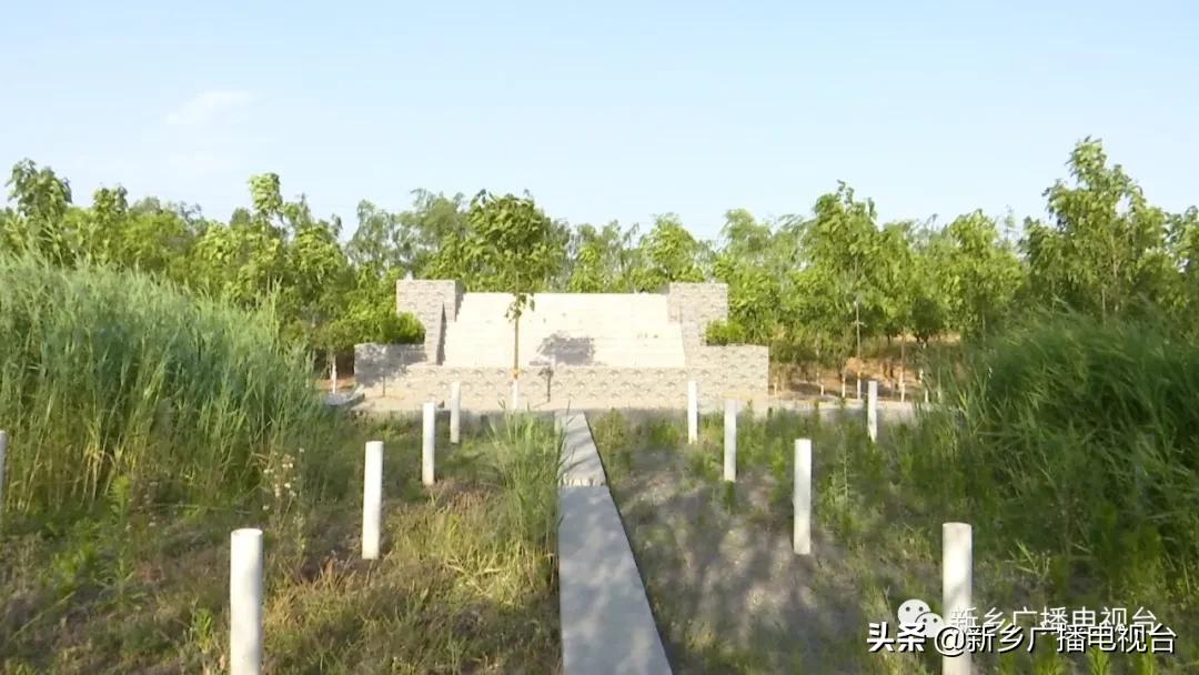 新乡县2020年的乡村振兴,河南新乡乡村振兴战略