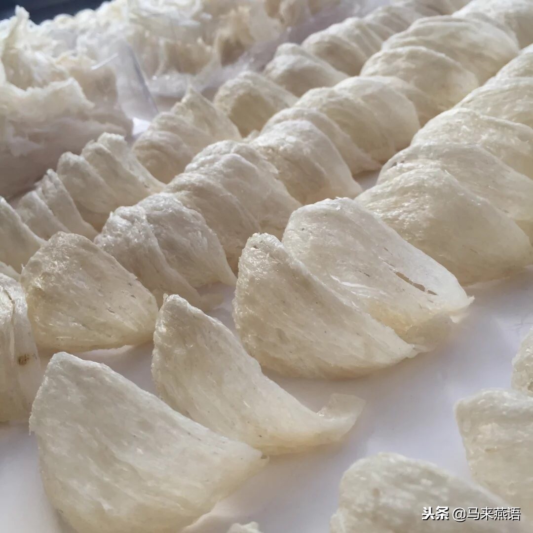 怎么分辨燕窝真假溯源码,印尼燕窝怎么分辨真假