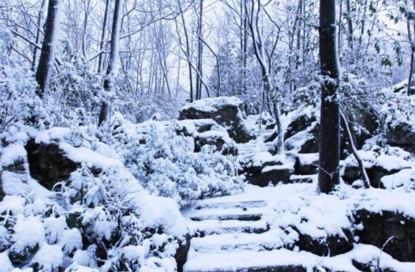 「诗词原创」邓寿康戊戌七言诗草