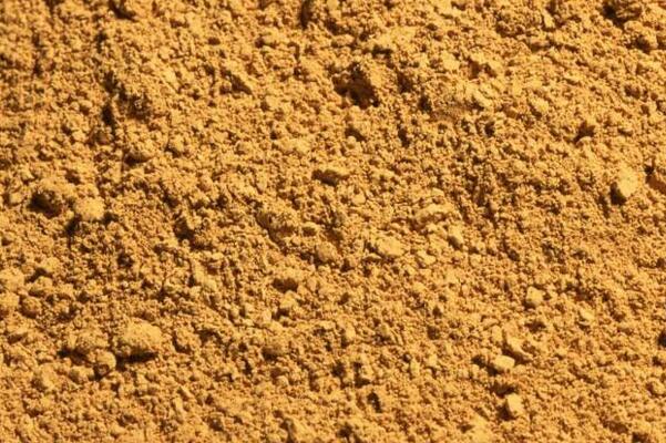 滴水观音用什么土栽植最好,养滴水观音用什么土栽培最好