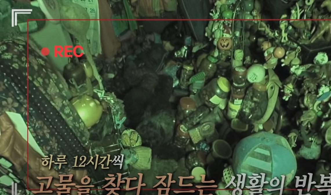 韩国老太独居深山40年,囤积癖老人去世