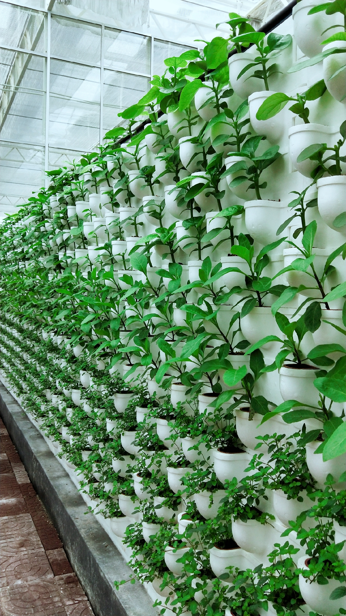 森宇集团森山小镇,森宇和森山