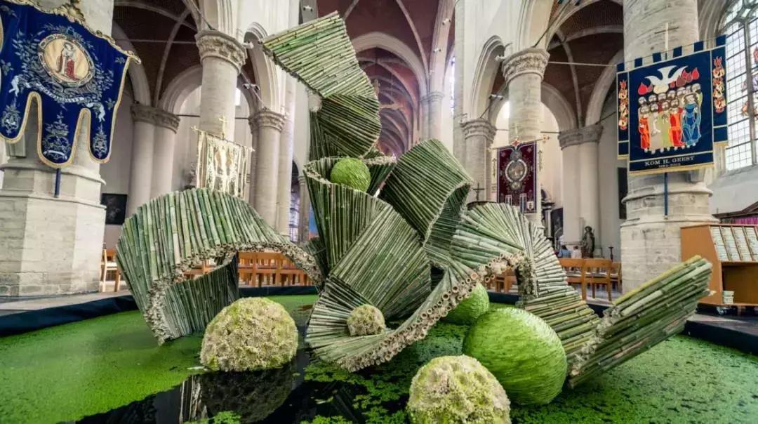 西湖花园节——见证最时尚的未来花世界！