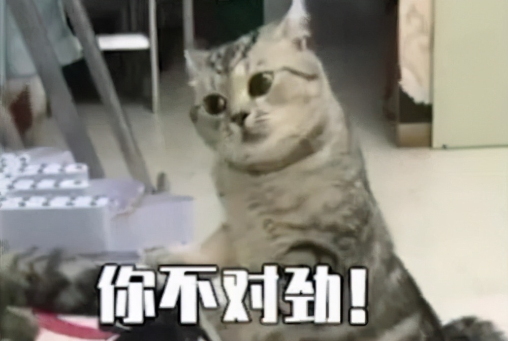 现实版塑料花姐妹情，一口“咬”下了18万！！