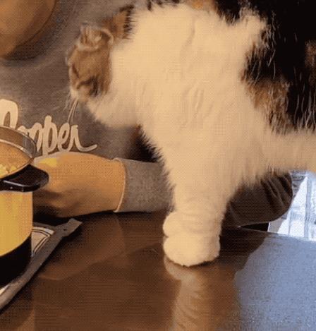 日本小哥吃零食,日本小哥吃垃圾食品